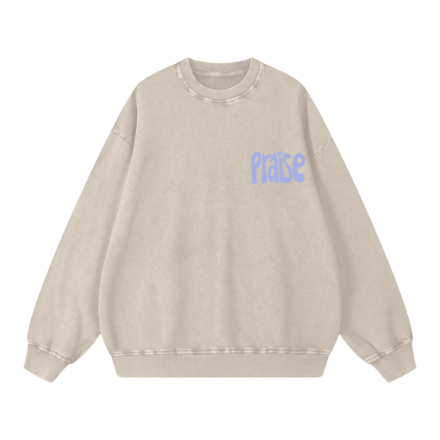 Snow Washed Oversized Sweatshirt